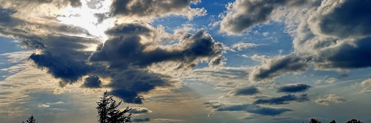 fozzi_dk's profile banner image