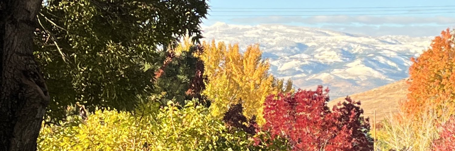 TIHamilton's profile banner image