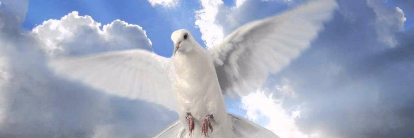 Tathy911's profile banner image