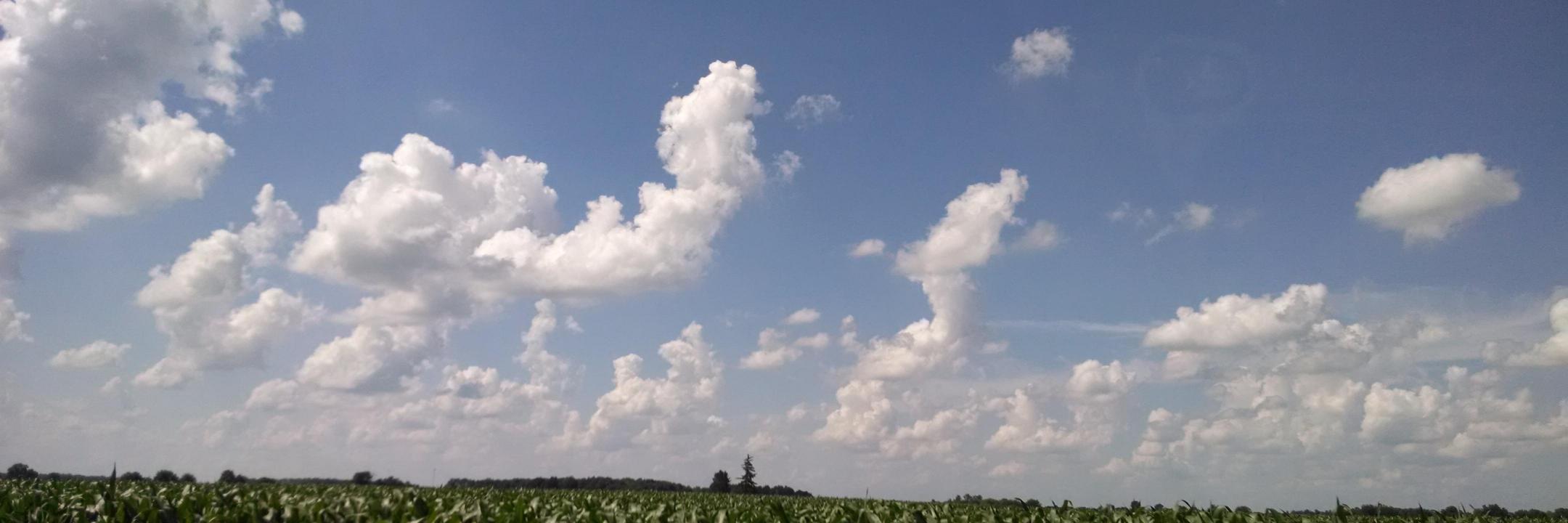 Colin Watkins banner