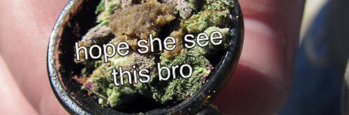 CBD CERTIFIED banner