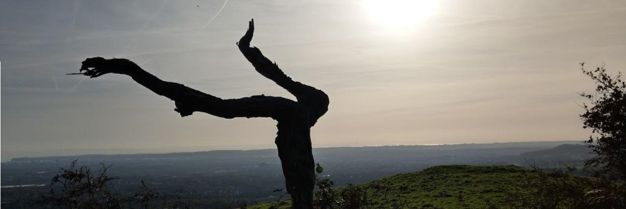 WelshSportBloke's profile banner image