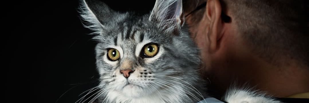 Kevin - France Bleu 🎙️ banner