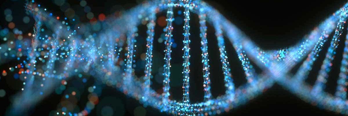 phoenix_bio's profile banner image