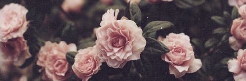 luucygerrett's profile banner image