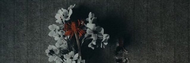 FlowerBlooomin's profile banner image