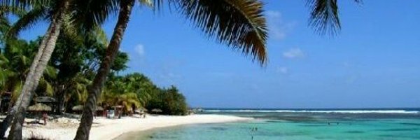 pepette966 Profile Banner