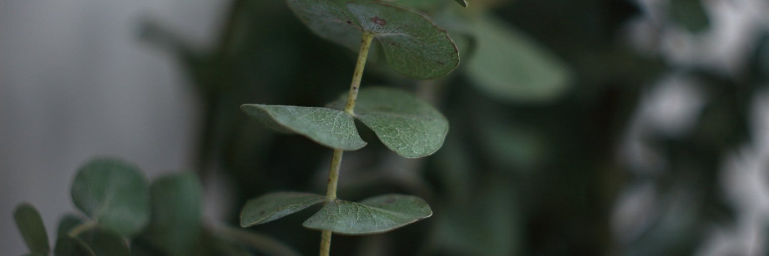 psicorubio's profile banner image