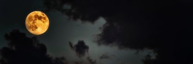 Jenpucak's profile banner image