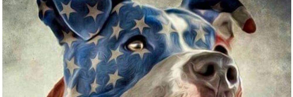 JimTrumpUSMC's profile banner image