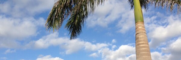 MarleneStringer Profile Banner