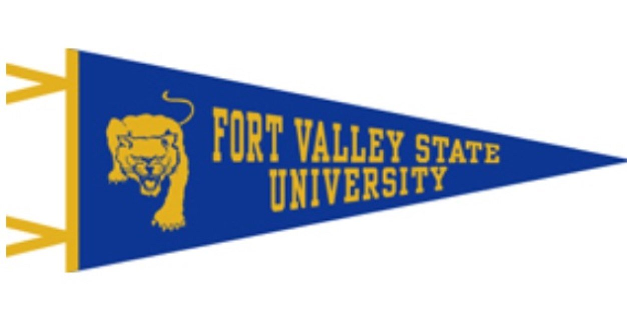 FVSUNews's profile banner image
