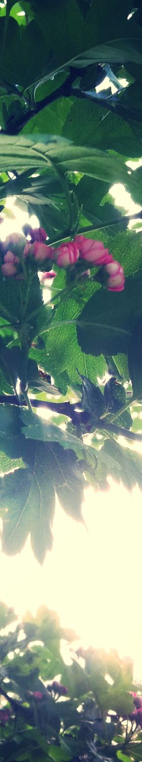 xCloudmaker's profile banner image