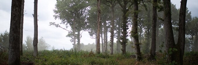 Emma_Brisson's profile banner image