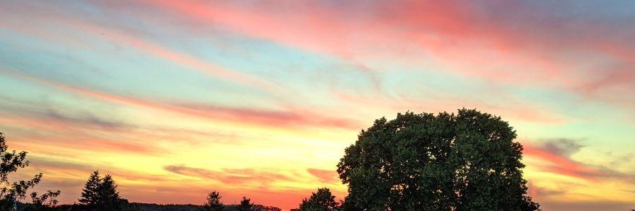 foxi4711's profile banner image