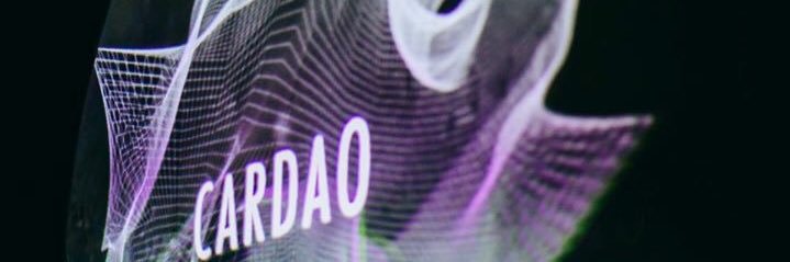 CardaoDiogo's profile banner image