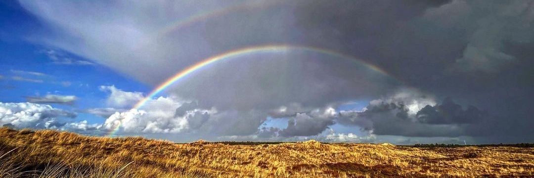 Ro de Jong 🧒 banner