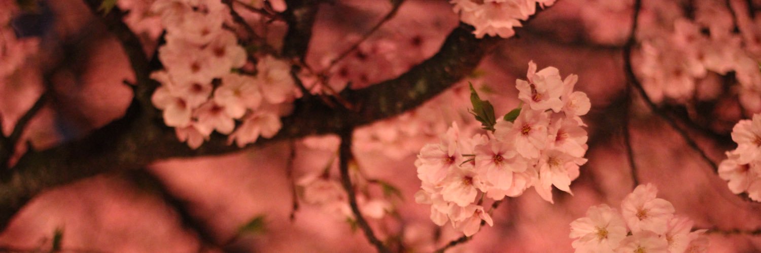 MapleCitrus's profile banner image