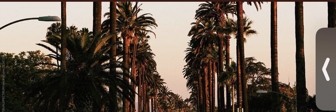 Kaleigh_L's profile banner image