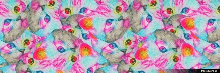 CarolinePomar's profile banner image