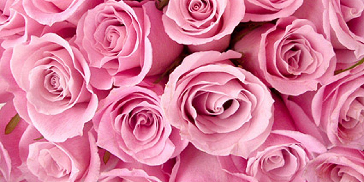 marykuki22's profile banner image