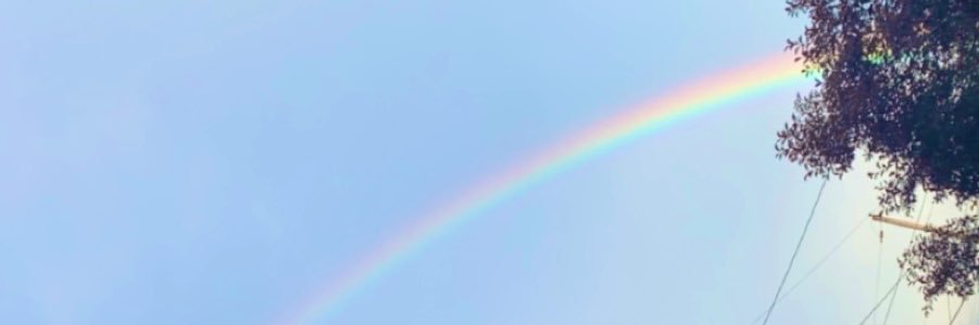 Maggalicious237's profile banner image