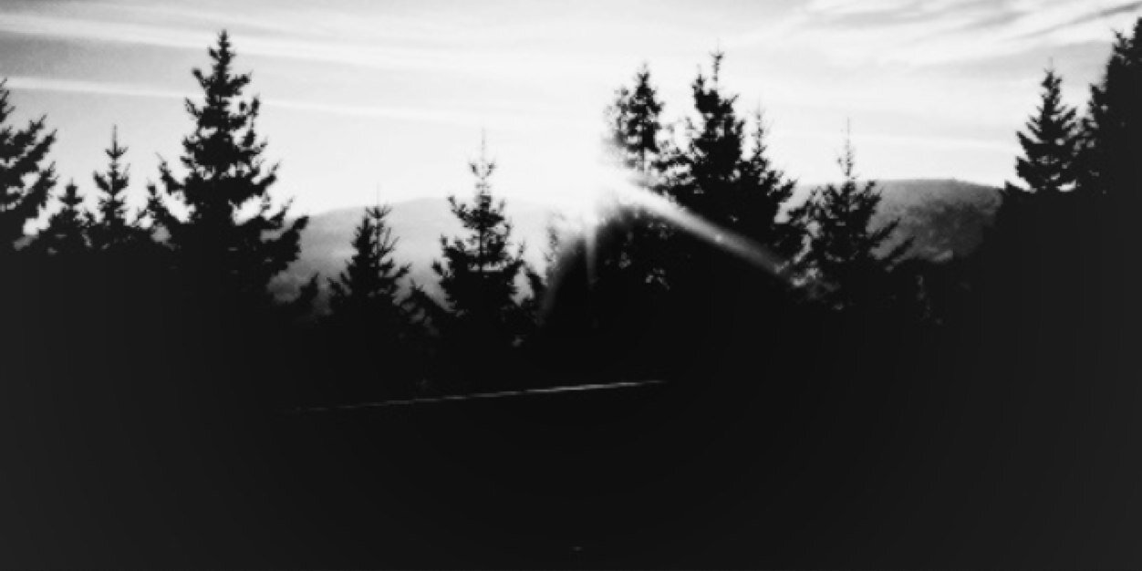 FraudulentJade's profile banner image