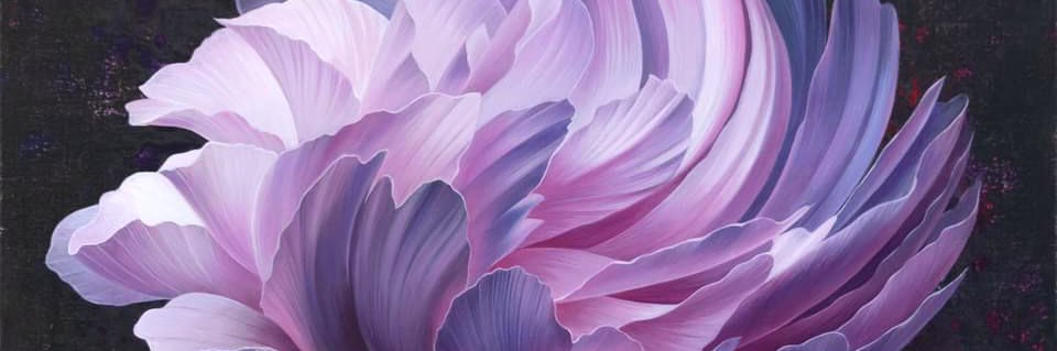 kimura_kayoko's profile banner image