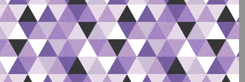 OPSCHS_STUCO's profile banner image