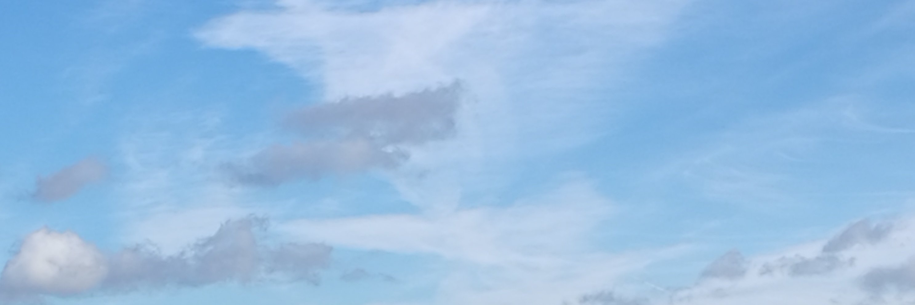 Mcoakes1's profile banner image