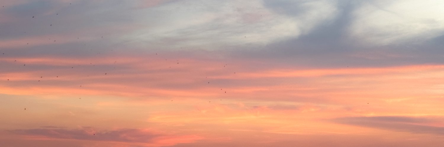 danflorod's profile banner image