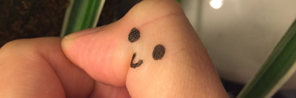 DeadNoodle's profile banner image