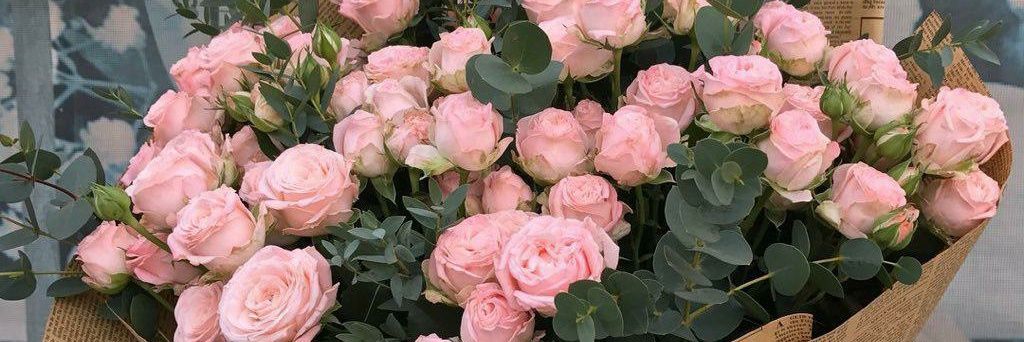 madlen921's profile banner image