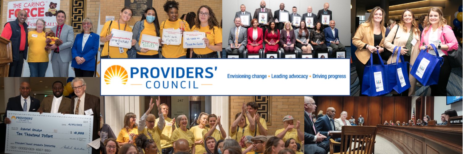 Providers' Council banner