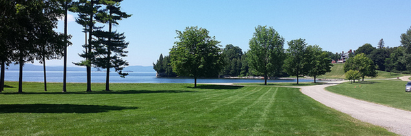 plnaugle Profile Banner