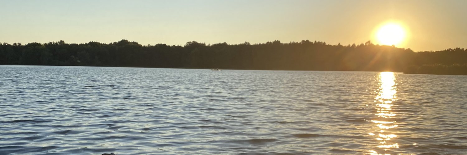 evelyncramer_'s profile banner image