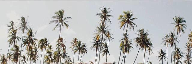SmileItsTaey's profile banner image