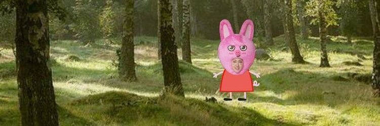 escalierdesprit's profile banner image