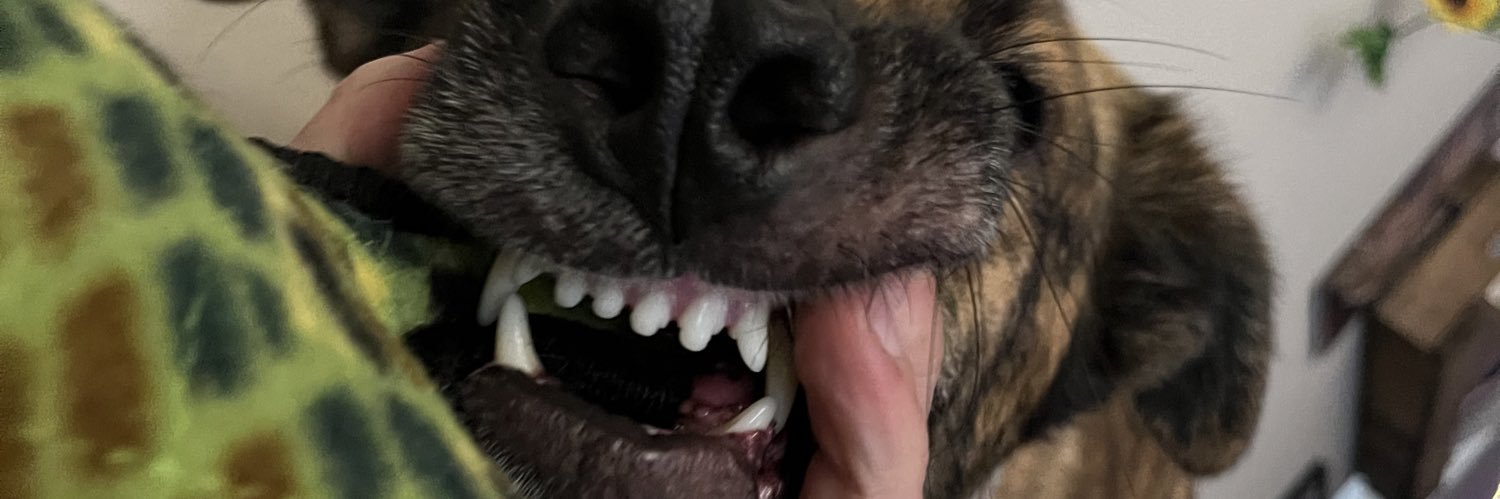 klizlive's profile banner image