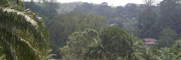 chikambah Profile Banner