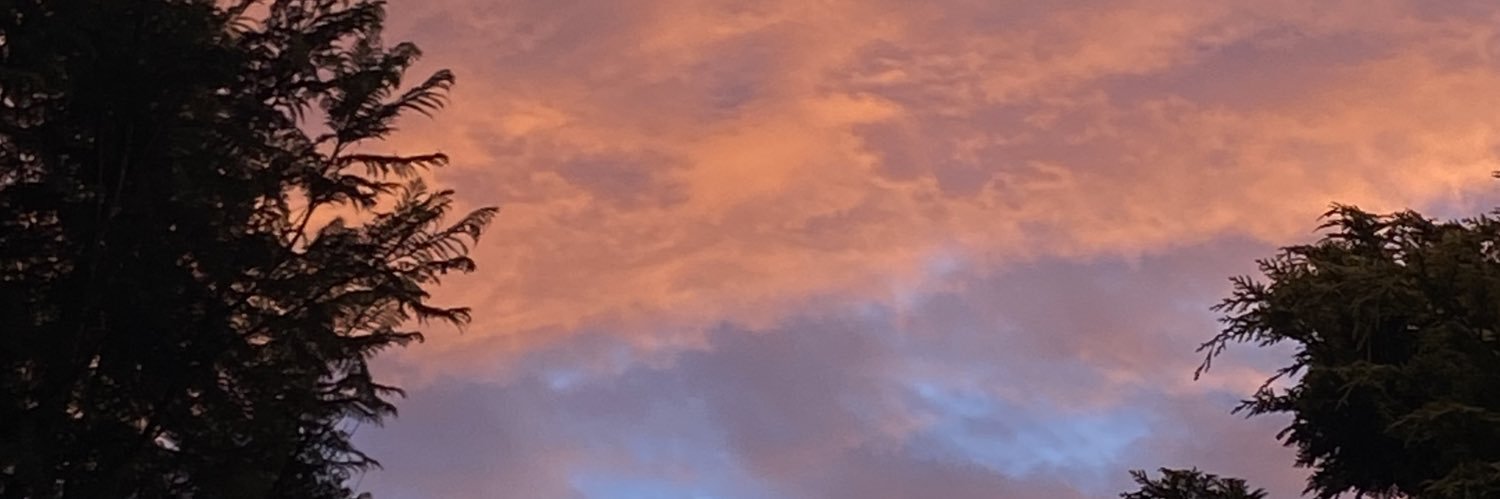cantikjane's profile banner image