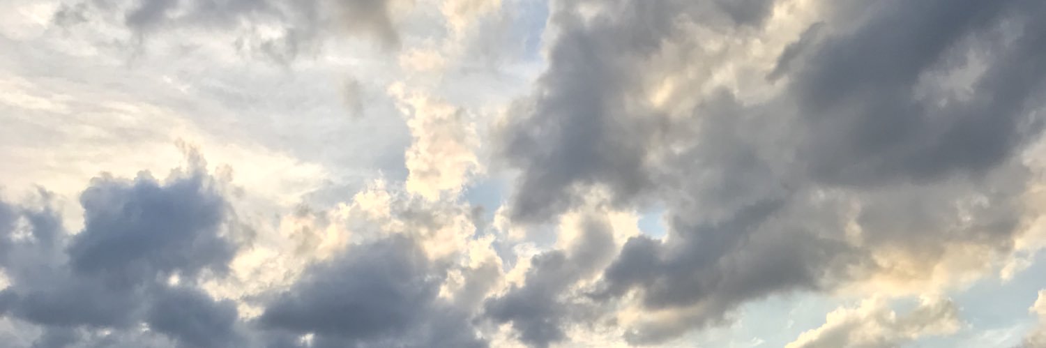 Emma Grech banner