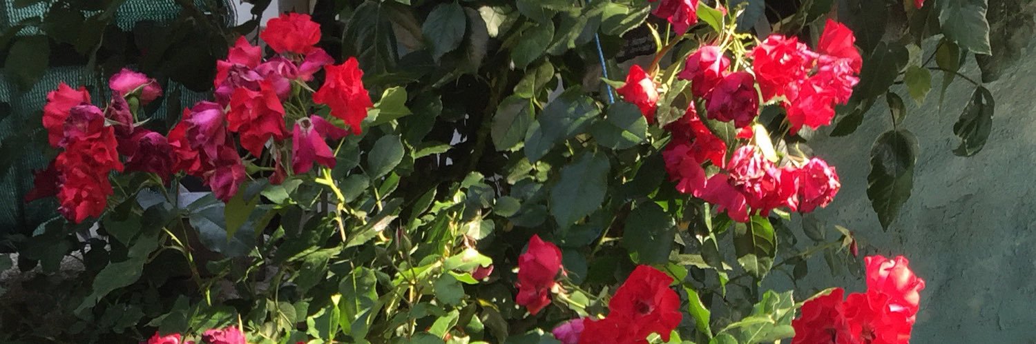 akyk34's profile banner image