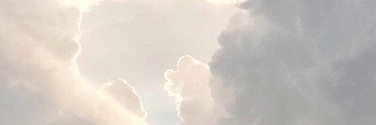 Toruvariz's profile banner image