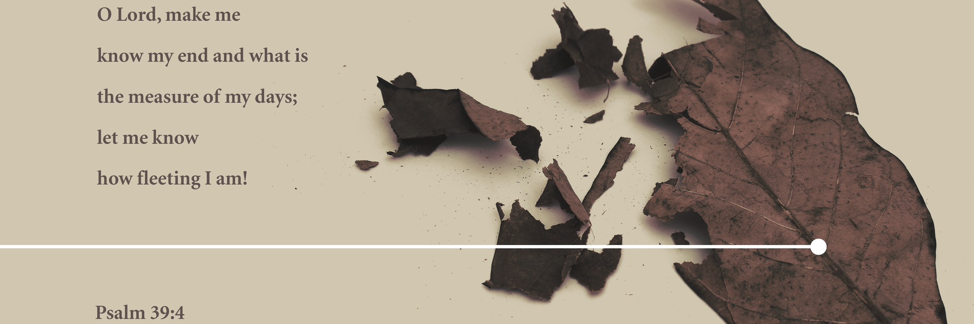 dkdm70's profile banner image