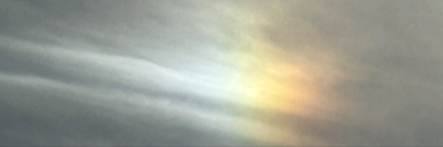 midopata's profile banner image
