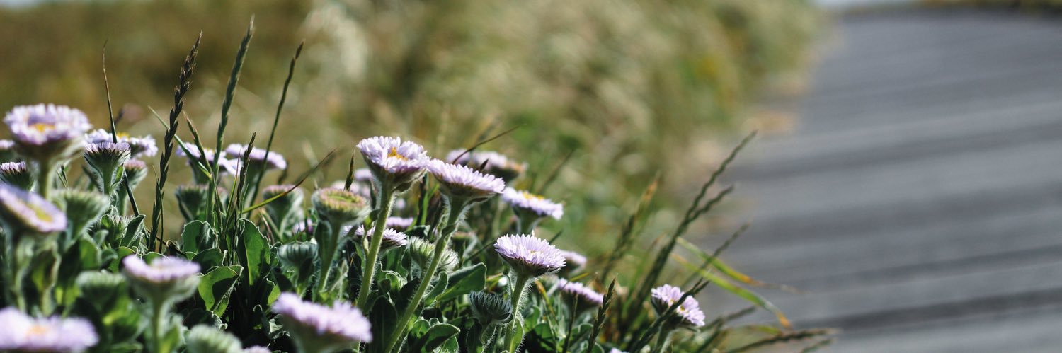 OurFutureTea's profile banner image