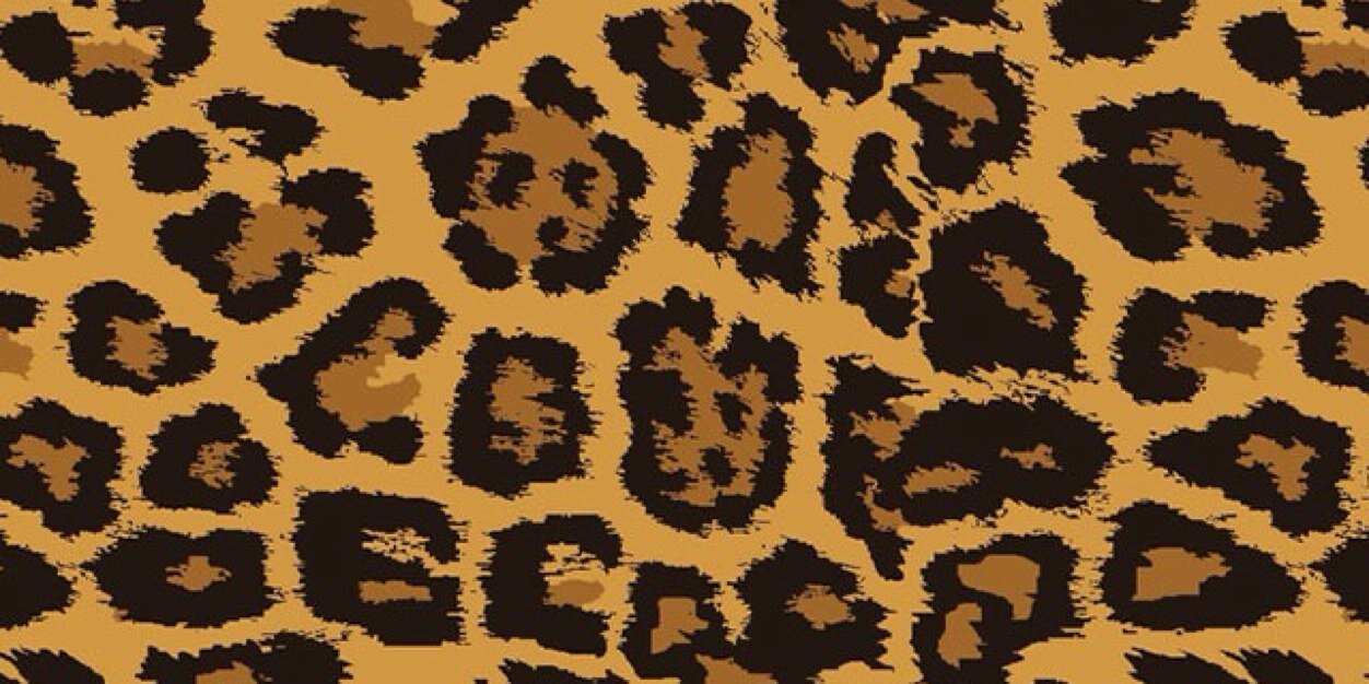 onooks's profile banner image