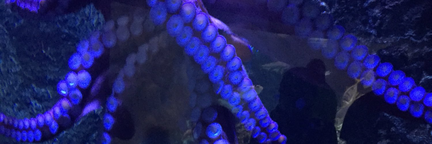 macharv_'s profile banner image