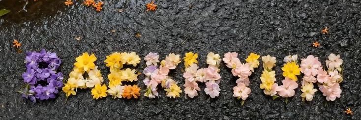 bibimbyun's profile banner image